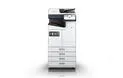 Epson WorkForce Enterprise​ AM-C5000​ – C11CJ42402